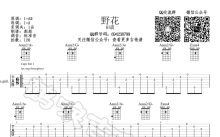 田震《野花》吉他谱_A调吉他弹唱谱