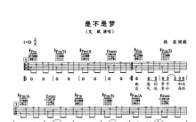 艾敬《是不是梦》吉他谱_D调吉他弹唱谱