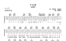 刘德华《十七岁》吉他谱_C调吉他弹唱谱