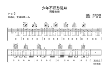 隔壁老樊《少年不识愁滋味》吉他谱_C调吉他弹唱谱