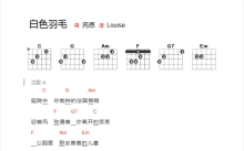 芮恩《白色羽毛》吉他谱_C调吉他弹唱谱_和弦谱