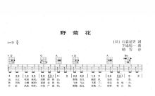 日本民谣《野菊花》吉他谱_D调吉他弹唱谱