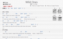 FloRida《Wild Ones》吉他谱_G调吉他弹唱谱_和弦谱