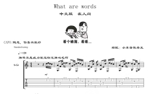 《What are words》吉他谱_C调吉他独奏谱