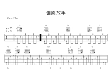 陈慧琳《谁愿放手》吉他谱_C调吉他弹唱谱