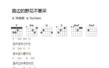 邓丽君《路边的野花不要采》吉他谱_吉他弹唱谱_和弦谱