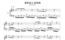 毕业季 范玮琪《那些花儿》钢琴谱