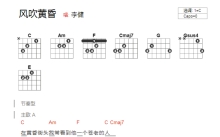 李健《风吹黄昏》吉他谱_C调吉他弹唱谱_和弦谱