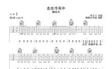 魏佳艺《走在冷雨中》吉他谱_G调吉他弹唱谱