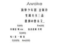 防弹少年团《Awake》吉他谱_吉他弹唱谱_和弦谱