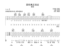 黎姿《因你真正活过》吉他谱_G调吉他弹唱谱