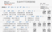 梁静茹《生命中不可承受的轻》吉他谱_C调吉他弹唱谱_和弦谱