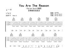 Calum Scott《You Are The Reason》吉他谱_G调吉他弹唱谱_精编完美版