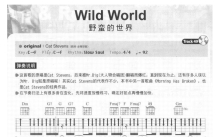 Cat Stevents《Wild World》吉他谱_吉他弹唱谱_和弦谱