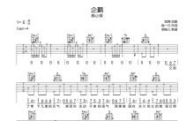 林小珂《企鹅》吉他谱_C调吉他弹唱谱
