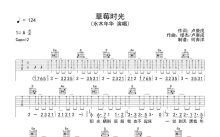 水木年华《草莓时光》吉他谱_G调吉他弹唱谱