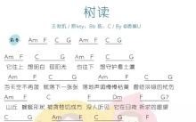 王俊凯《树读》_C调尤克里里谱