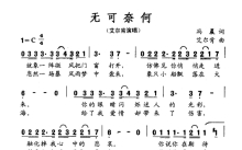 艾尔肯《无可奈何》歌词_简谱