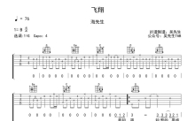 海先生《飞翔》吉他谱_G调吉他弹唱谱