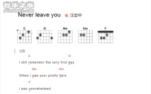 Michel Teló 米歇尔·泰勒昭哥《never leave you》吉他谱_吉他弹唱谱_和弦谱