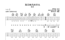 林木《落日晚风的尽头》吉他谱_C调吉他弹唱谱