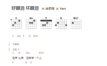 徐若瑄《好眼泪坏眼泪》吉他谱_C调吉他弹唱谱_和弦谱