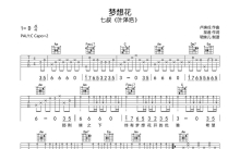 七叔（叶泽浩）《梦想花》吉他谱_C调吉他弹唱谱