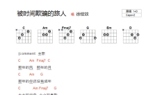 徐绽放《被时间欺骗的旅人》吉他谱_D调吉他弹唱谱_和弦谱