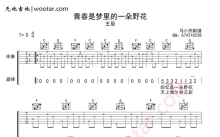 王辰《青春是梦里的一朵野花》吉他谱_C调吉他弹唱谱_男生版