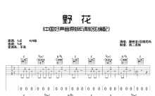 康树龙/旦增尼玛《野花》吉他谱_E调吉他弹唱谱