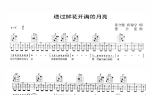 林依轮《透过鲜花开满的月亮》吉他谱_C调吉他弹唱谱