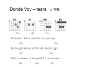 齐豫《Tears-Donde Voy》吉他谱_吉他弹唱谱_和弦谱