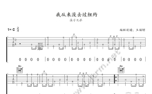 《我从来没去过纽约》吉他谱_C调吉他弹唱谱