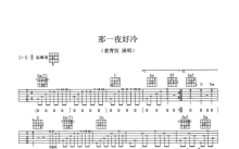 姜育恒《那一夜好冷》吉他谱_G调吉他弹唱谱_双吉他版