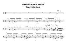 Tracy Bonham《sharks can't sleep》鼓谱_架子鼓谱
