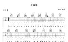 唐磊《丁香花》吉他谱_G调吉他弹唱谱_入门吉他谱