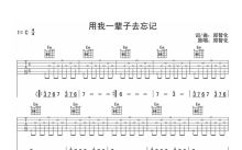 郑智化《用我一辈子去忘记》吉他谱_C调吉他弹唱谱