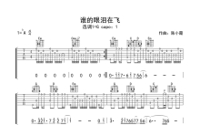 孟庭苇《谁的眼泪在飞》吉他谱_G调吉他独奏谱