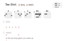 Birdy《Tee Shirt》吉他谱_G调吉他弹唱谱_和弦谱
