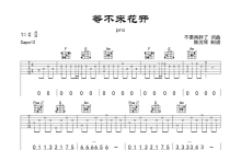 pro《等不来花开》吉他谱_C调吉他弹唱谱