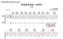 王辰《青春是梦里的一朵野花》吉他谱_G调吉他弹唱谱_女生版