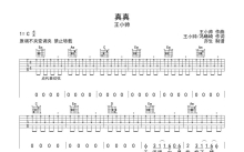 王小帅《真真》吉他谱_C调吉他弹唱谱