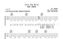 蔡健雅《Into The Wild》吉他谱_G调吉他弹唱谱