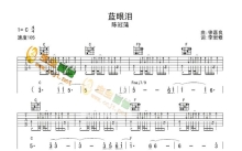 陈冠蒲《蓝眼泪》吉他谱_C调吉他弹唱谱