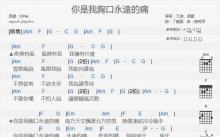 王杰/叶欢《你是我胸口永远的痛》吉他谱_C调吉他弹唱谱_和弦谱