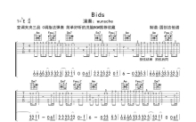 wunsche《Birds》吉他谱_C调吉他独奏谱_原版编配